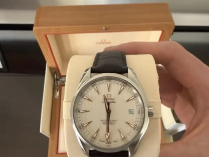 Omega Seamaster Aqua Terra 41.5mm - 23113422102003