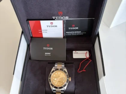 Montre TUDOR Black Bay S&G 41 mm, ensemble complet. Excellent état.
