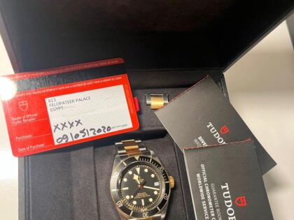 Tudor Black Bay Automatique Acier/Or Réf. 79733N 2020