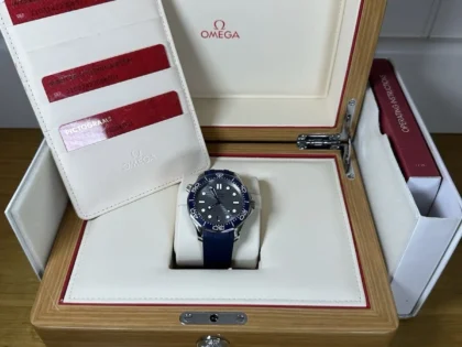 Omega Seamaster Gris/Bleu | 210.32.42.20.06.001 | 2022 | Boîte, Papiers
